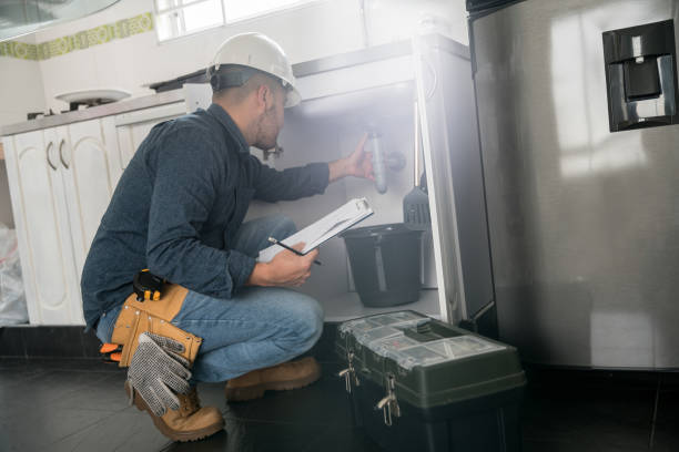 Best Sprinkler Systems  in Janesville, CA