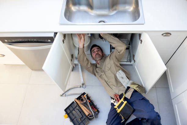 Best Local Plumber Services  in Janesville, CA