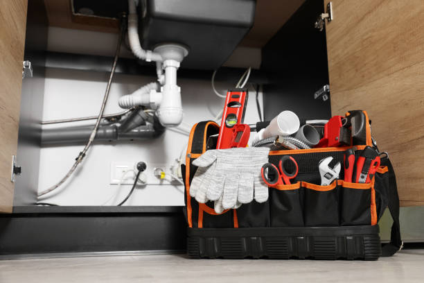 Best Plumbing Inspection Services  in Janesville, CA