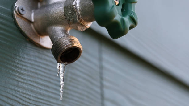 Best Commercial Plumbing Services  in Janesville, CA